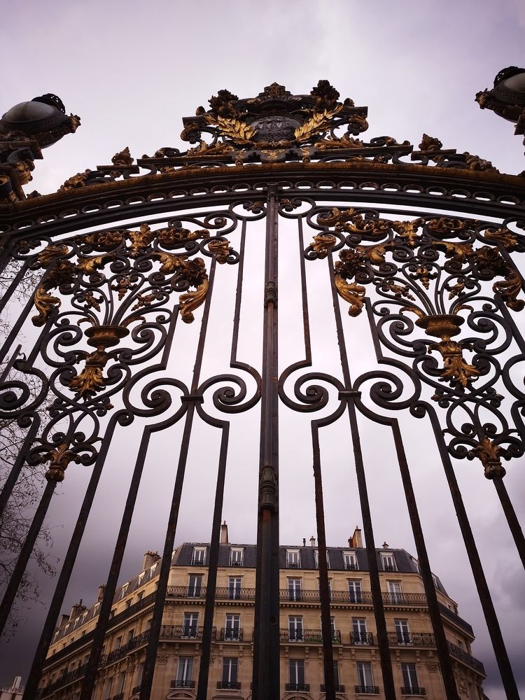 Photograph by Светлана Мишенина