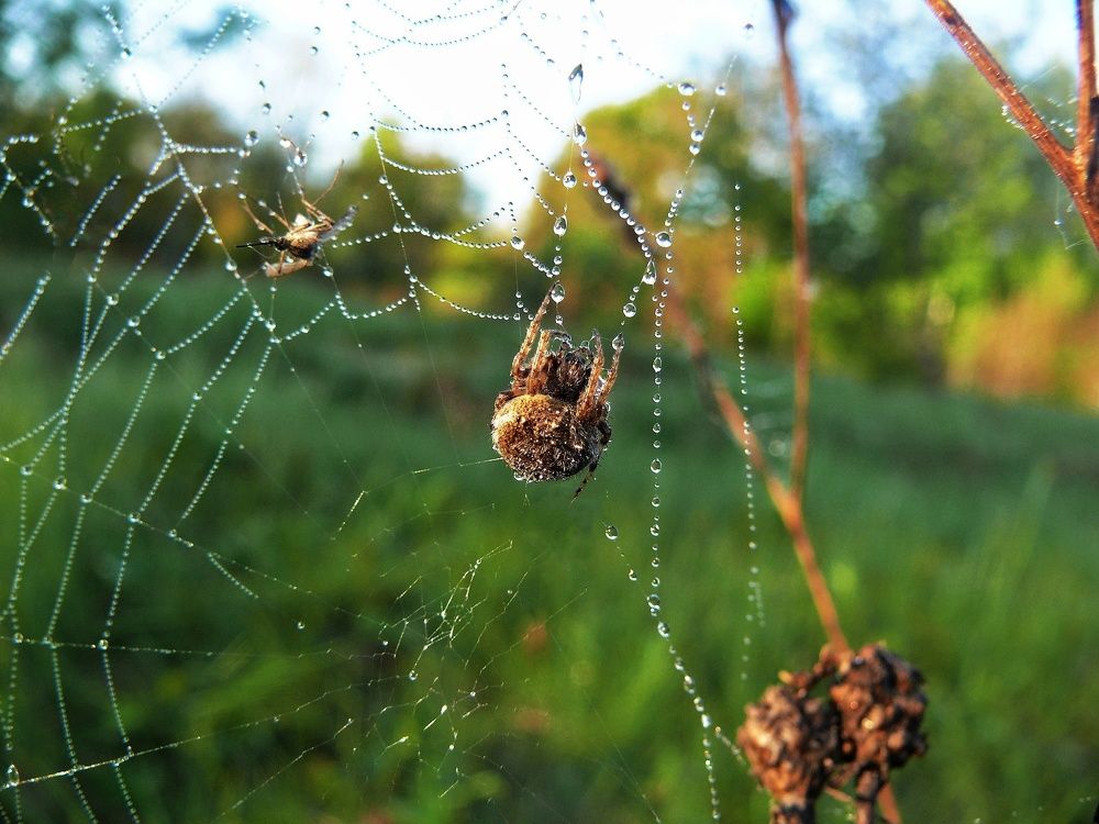 Photograph by Дмитрий Фетисов