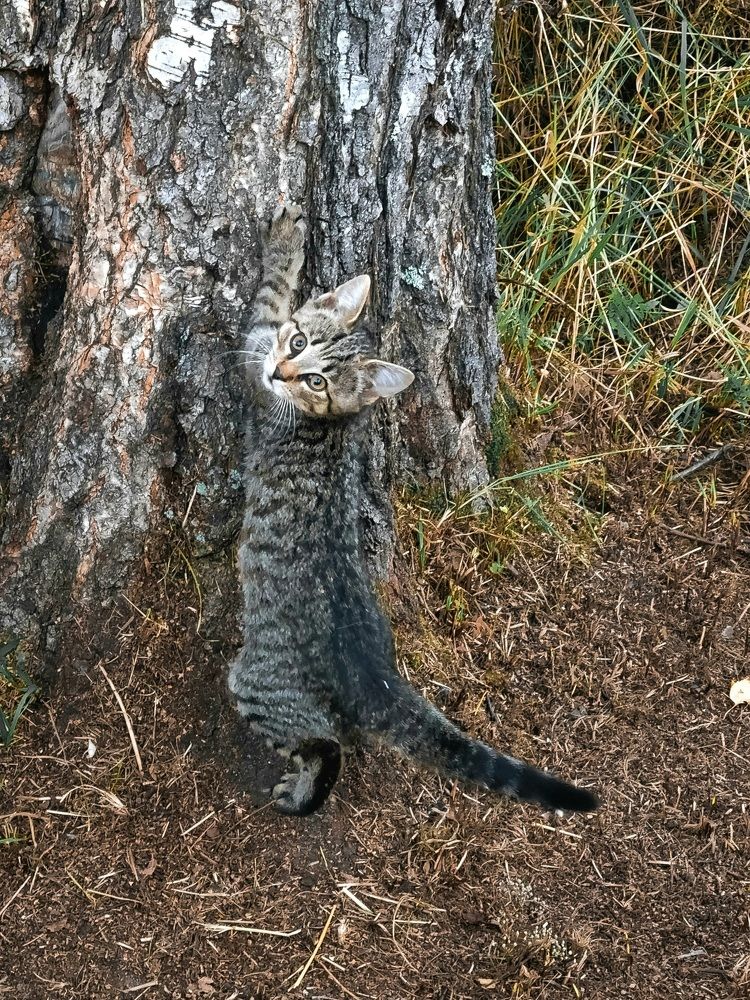 Photograph by Татьяна Никкарева