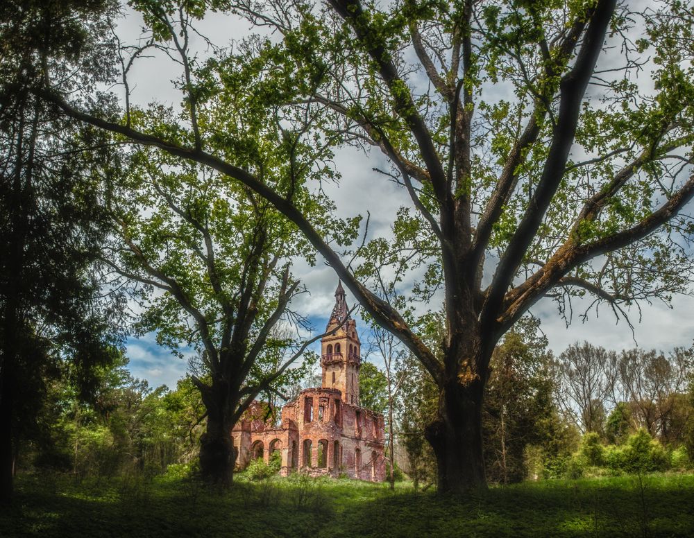 Photograph by Владимир Портуаров