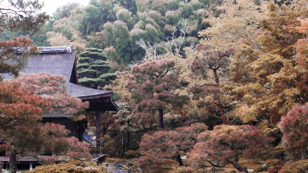 Photograph by Кирилл Блок