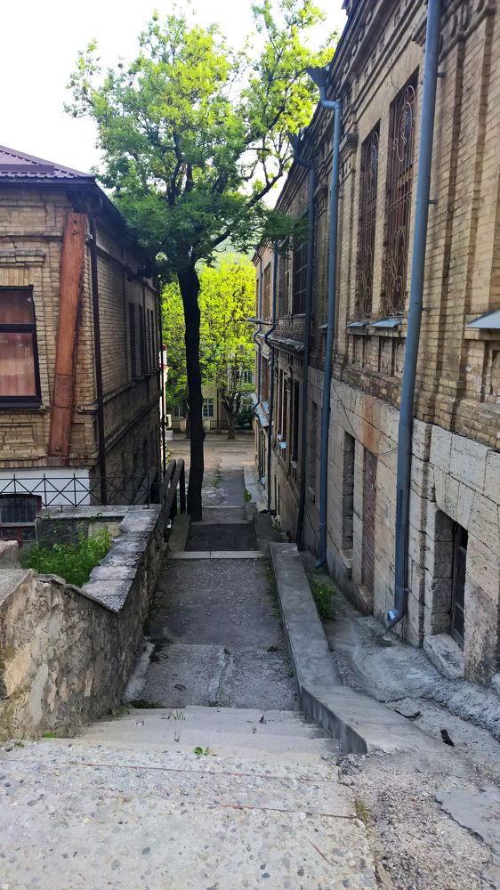 Photograph by Дарья Кирина