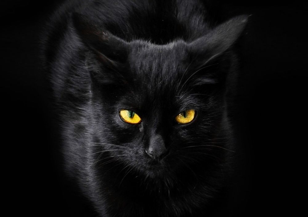 Photograph by Natalia Bondarenko