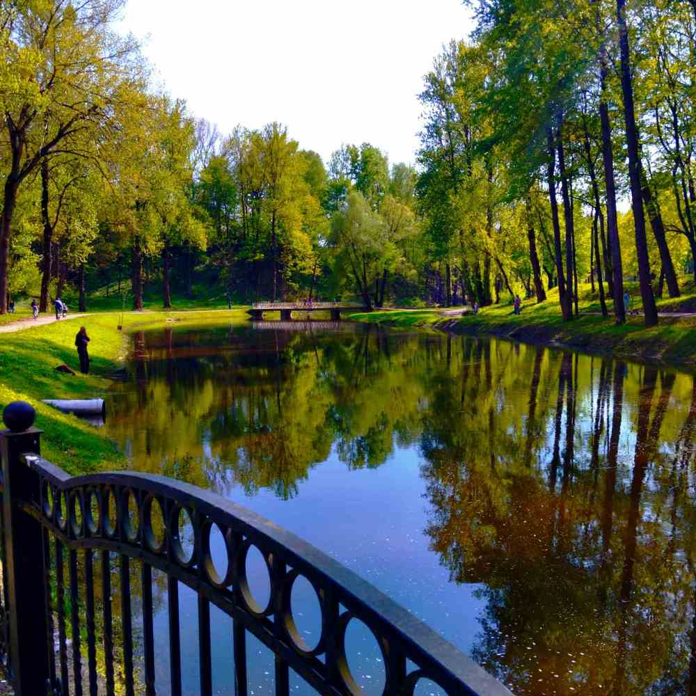 Фотография автора Галина Бобкина