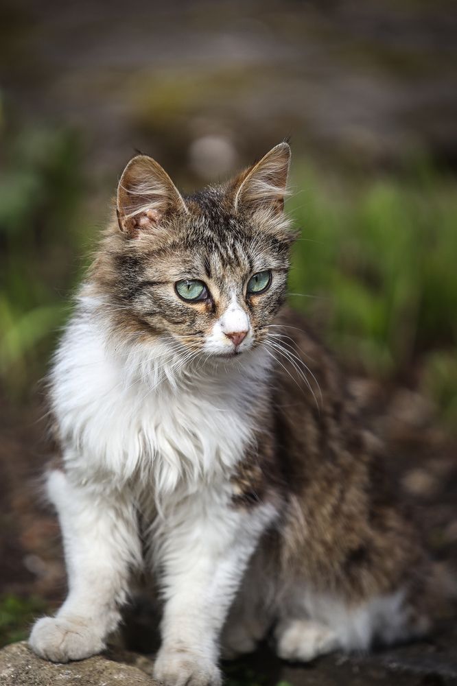 Photograph by Sergei Komlev