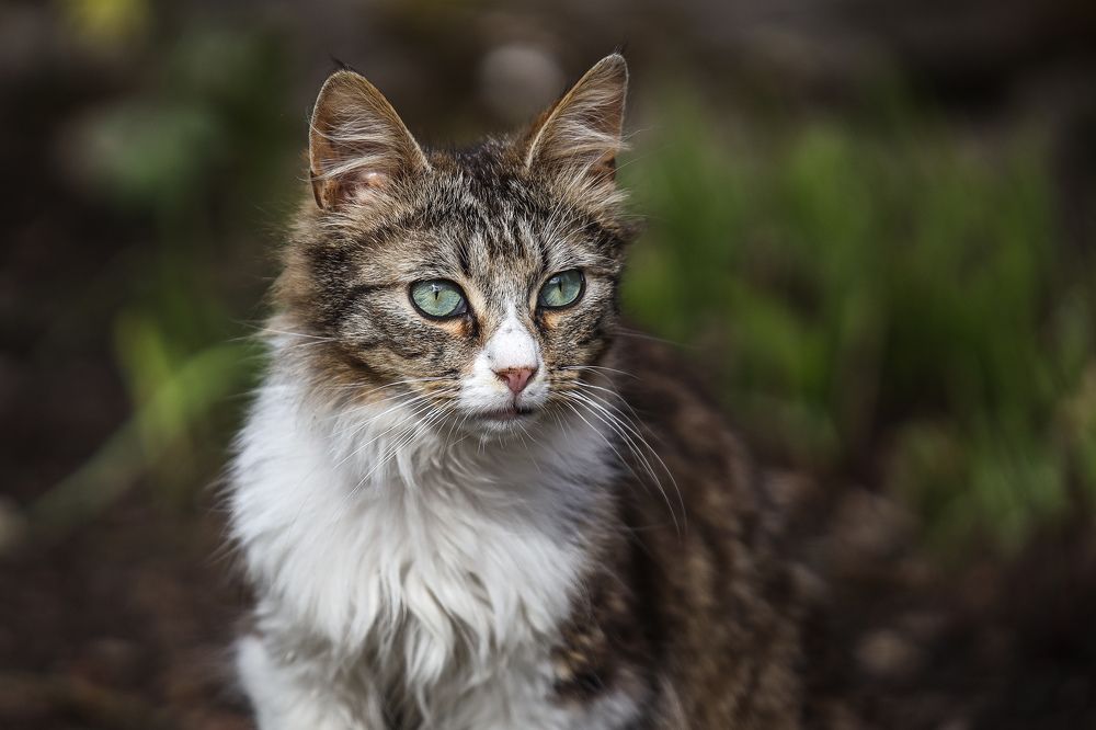 Photograph by Sergei Komlev