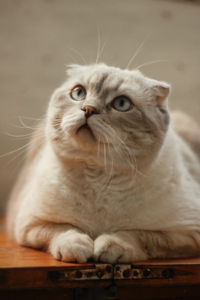 Photograph by Алексей Морозов