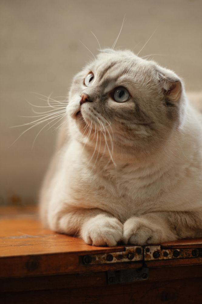 Photograph by Алексей Морозов