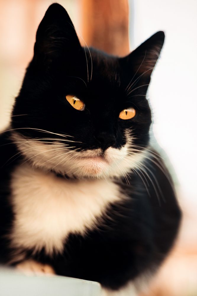 Photograph by Алексей Морозов