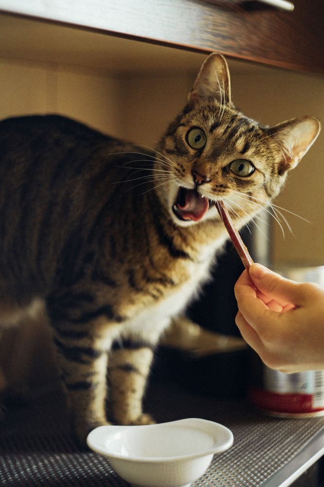 Photograph by Шидловская-Вашкевич Татьяна