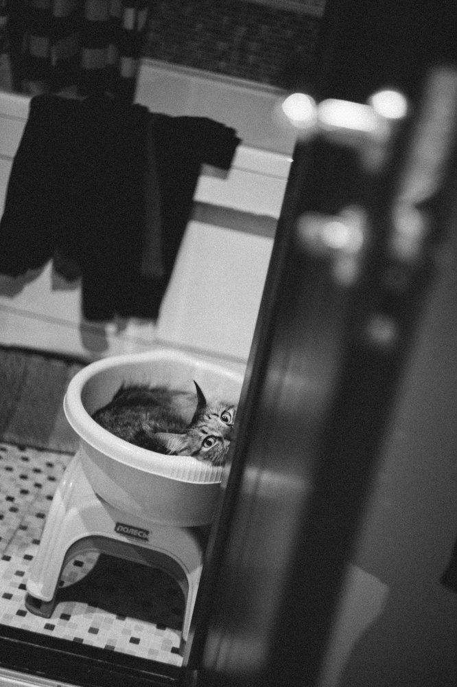 Photograph by Шидловская-Вашкевич Татьяна