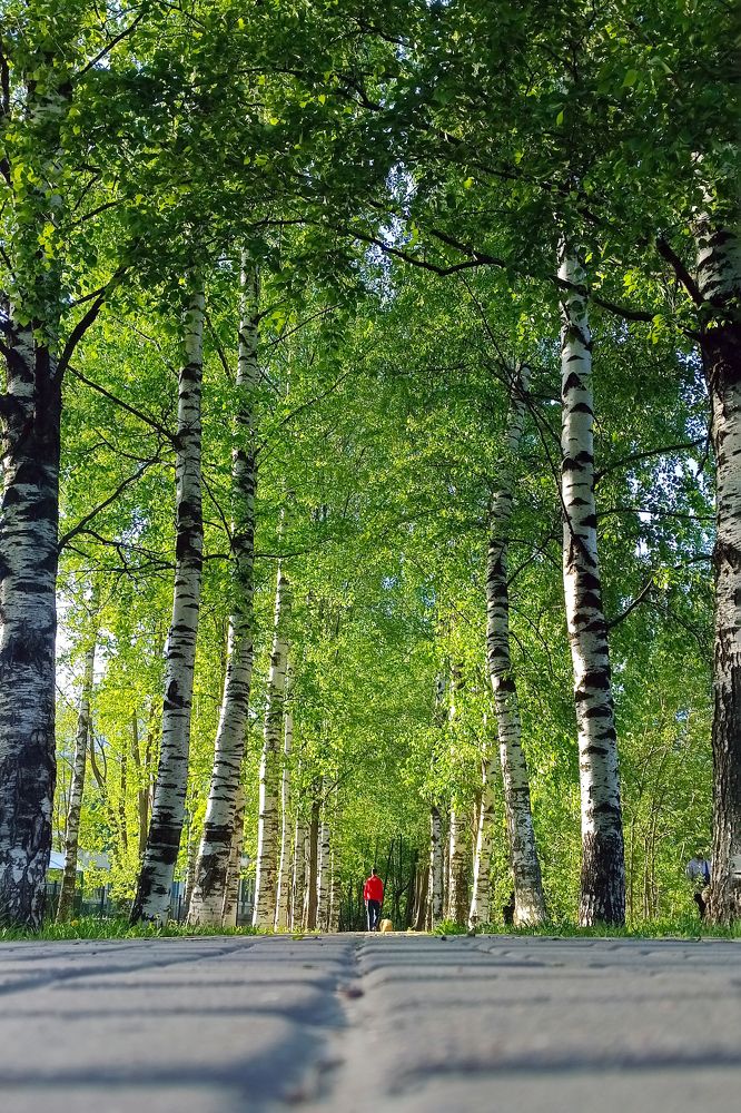 Фотография автора Larisa Meshkova