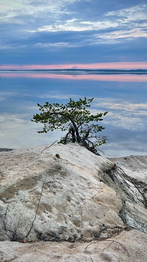 Фотография автора Юлия Шумейко