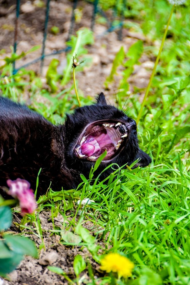 Photograph by Radoslav Stefanov