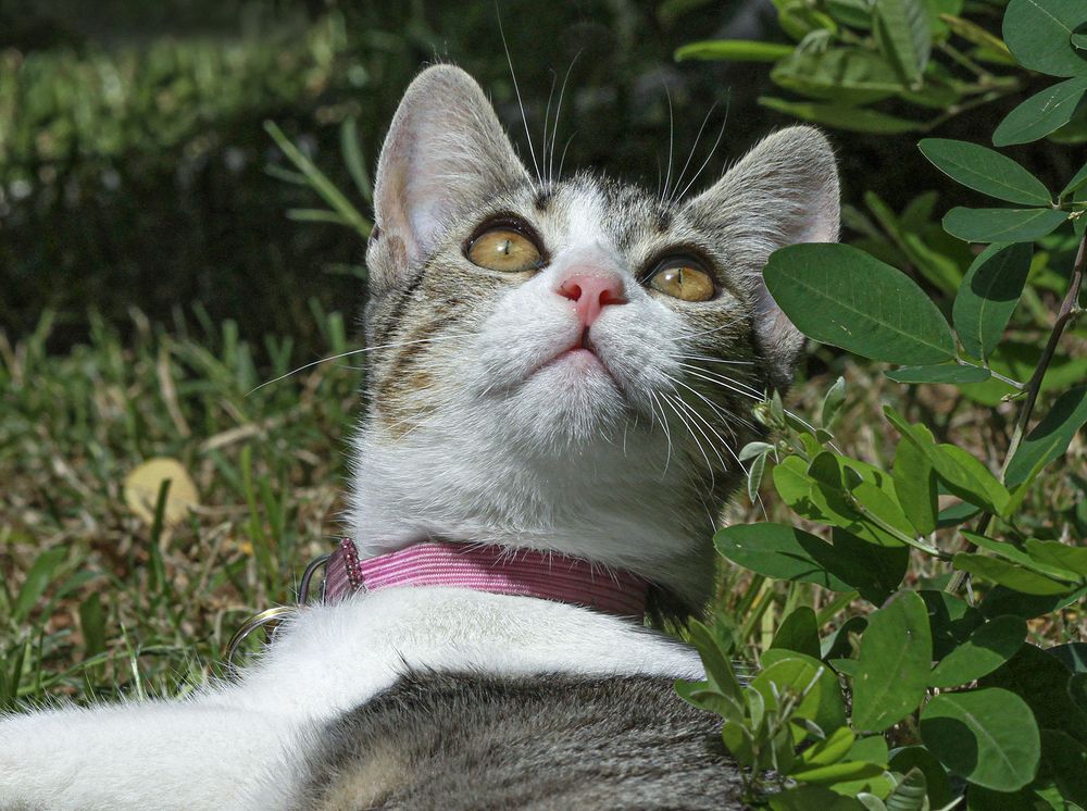 Фотография автора Marina Martorelli