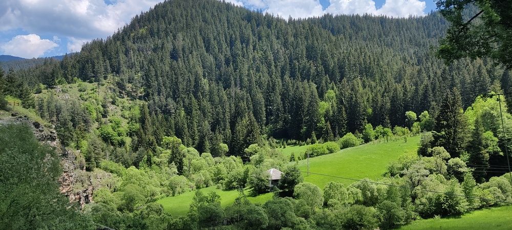 Photograph by Radoslav Stefanov