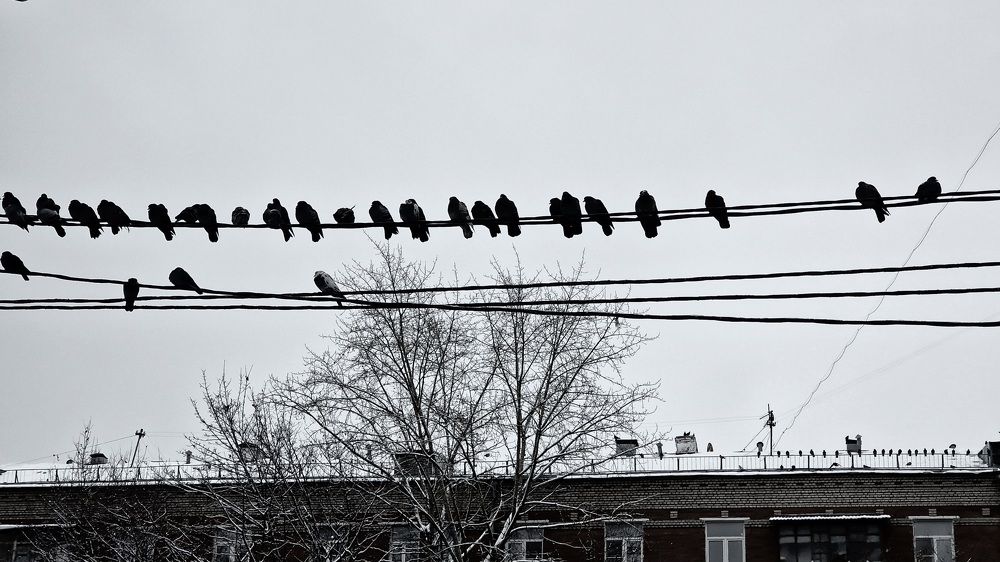 Фотография автора Ольга Быстрова