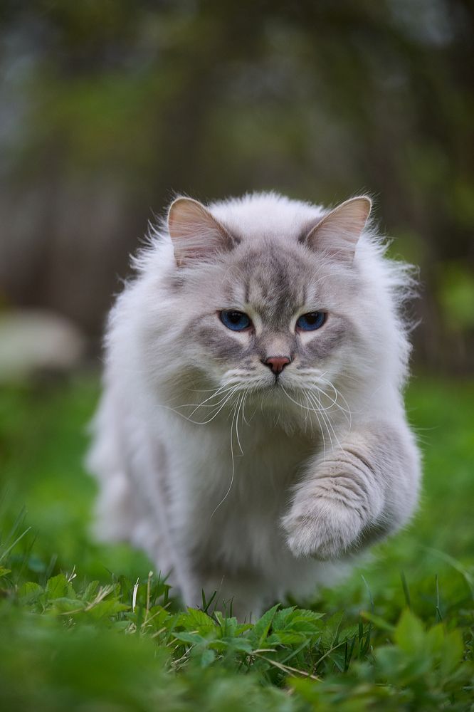 Photograph by Чехонин Александр