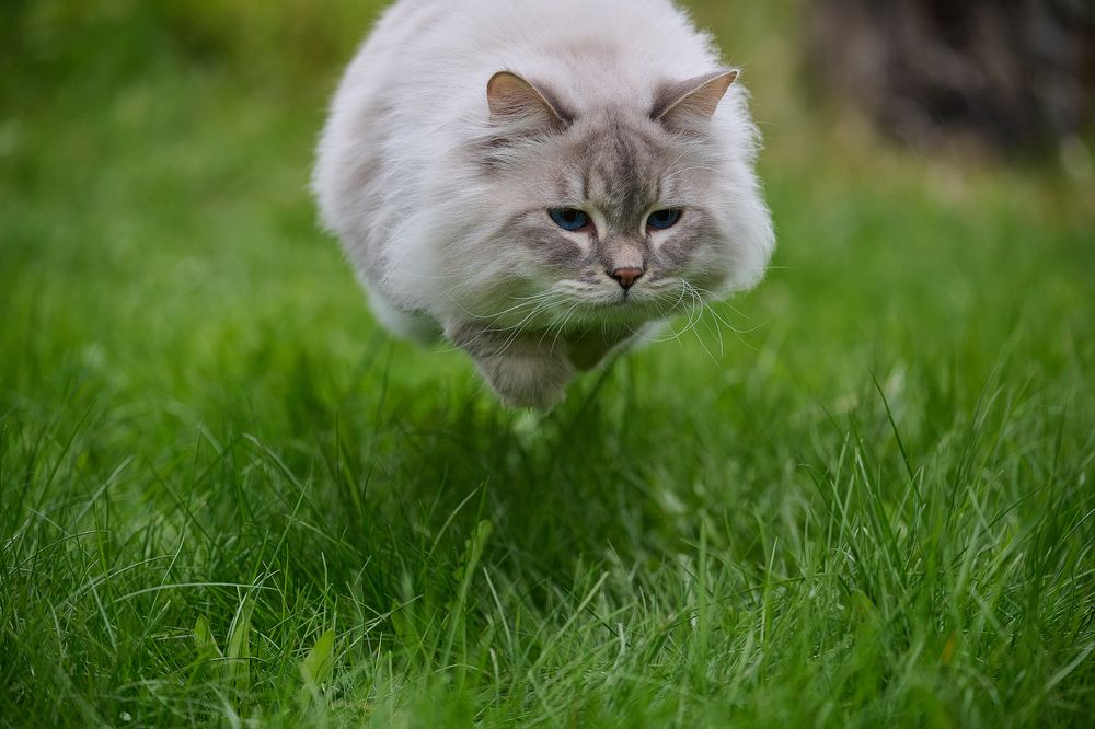 Photograph by Чехонин Александр