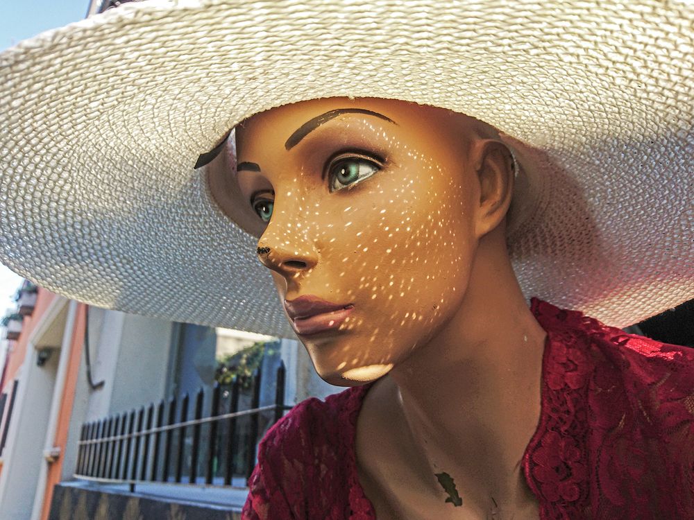 Фотография автора Marina Martorelli