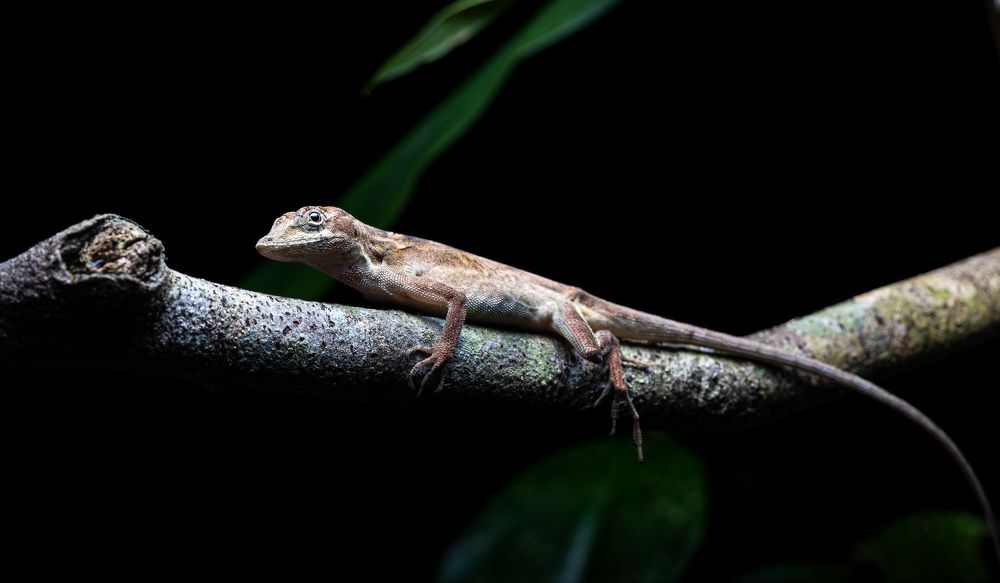 Фотография автора Frida Aspani