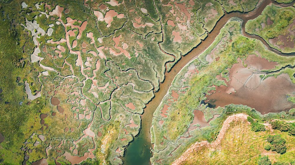 Photograph by Бабич Павел