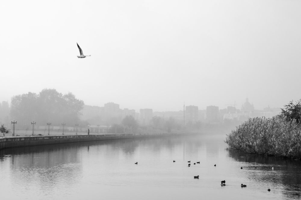 Photograph by Марина Канавченко