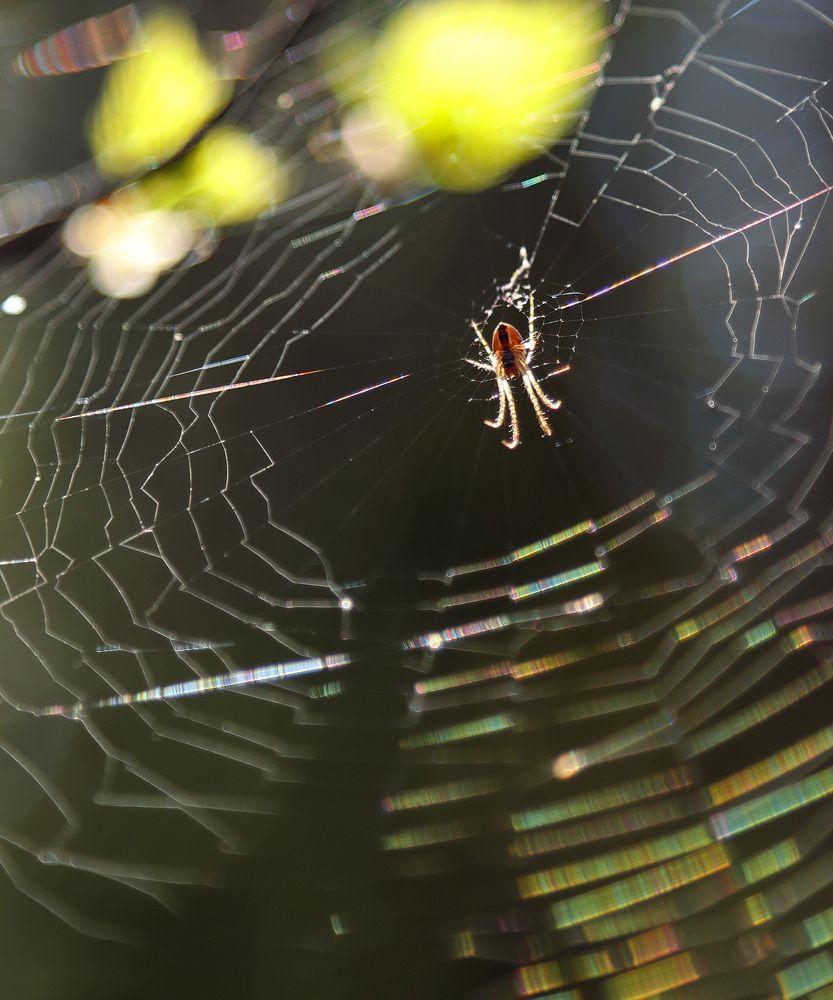 Photograph by Олег Фокин