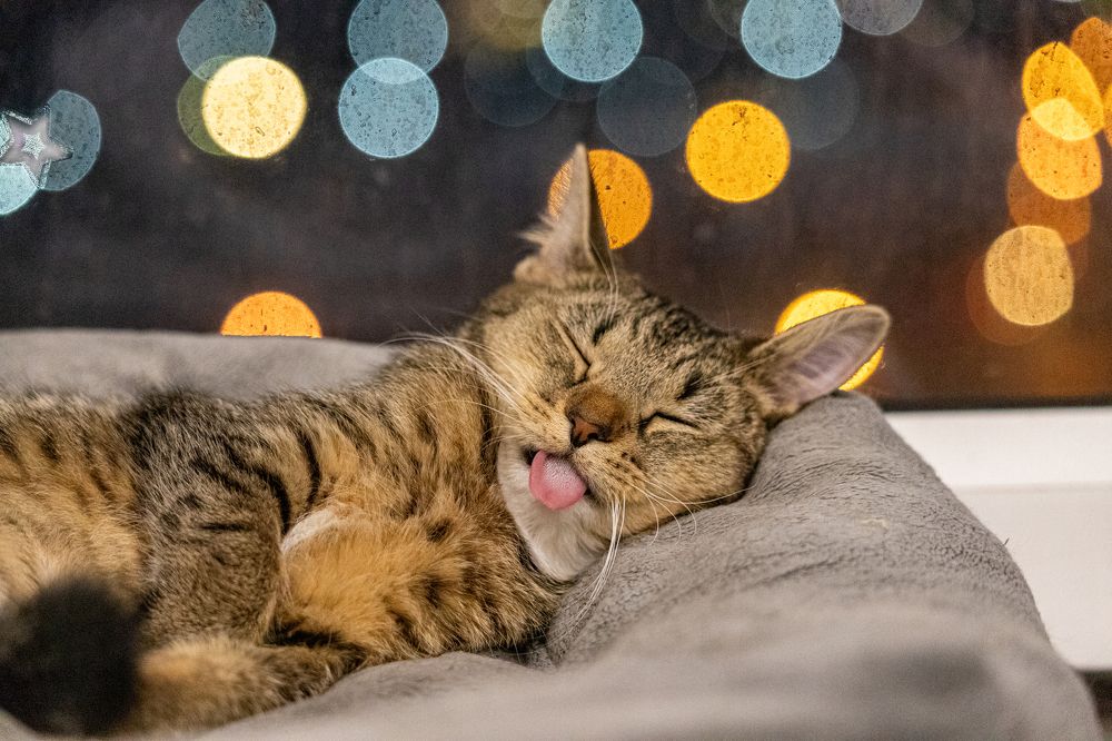 Photograph by Дмитрий Константинов