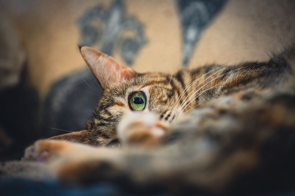 Photograph by Дмитрий Константинов