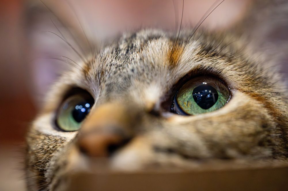 Photograph by Дмитрий Константинов