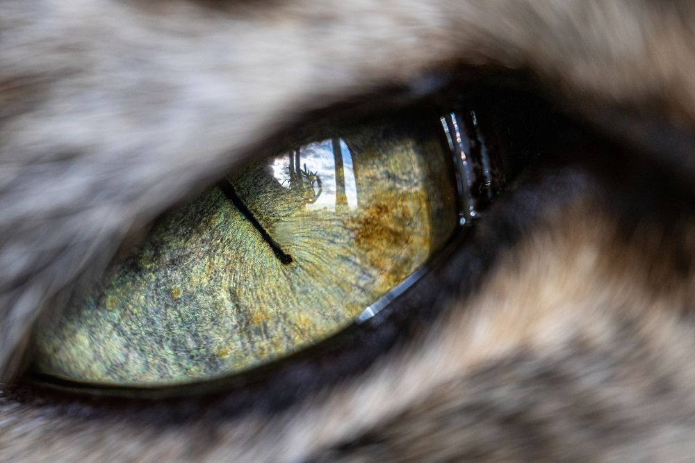 Photograph by Дмитрий Константинов