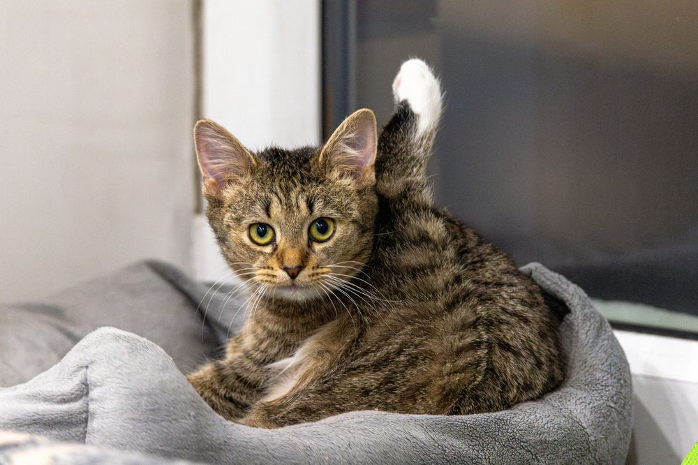 Photograph by Дмитрий Константинов