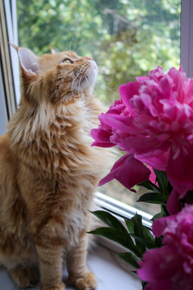 Фотография автора Марина