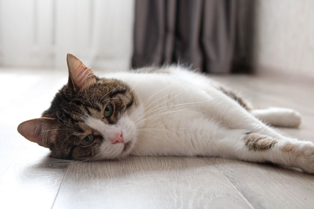 Фотография автора Марина