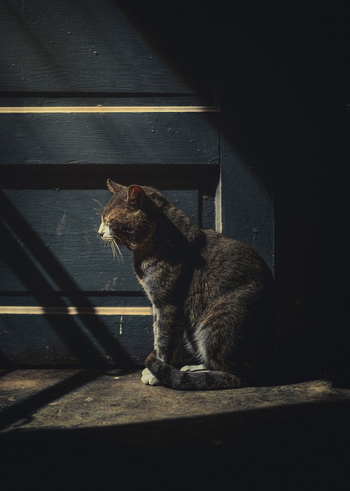 Photograph by Aldo Espinosa