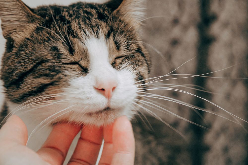 Фотография автора Марина