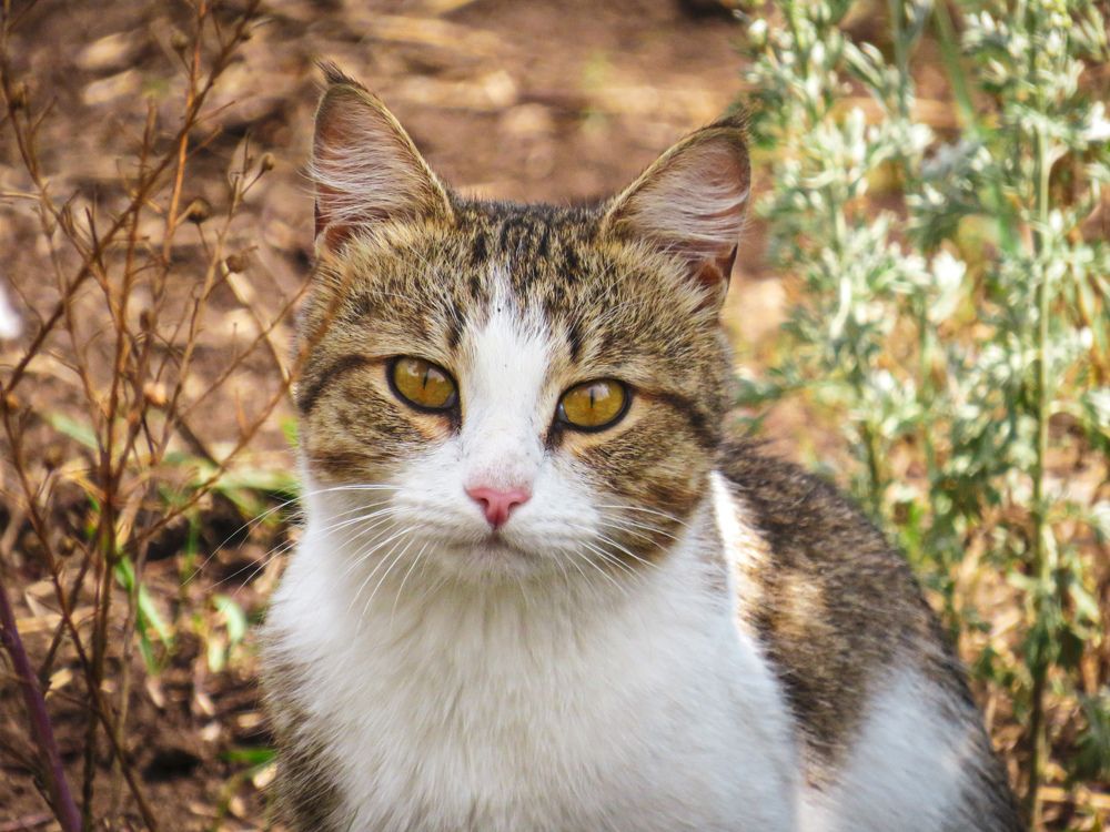 Photograph by Елена Гарипова