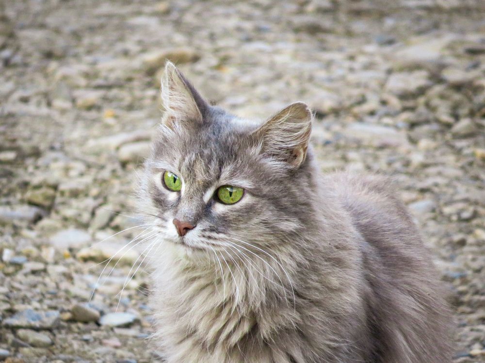 Photograph by Елена Гарипова