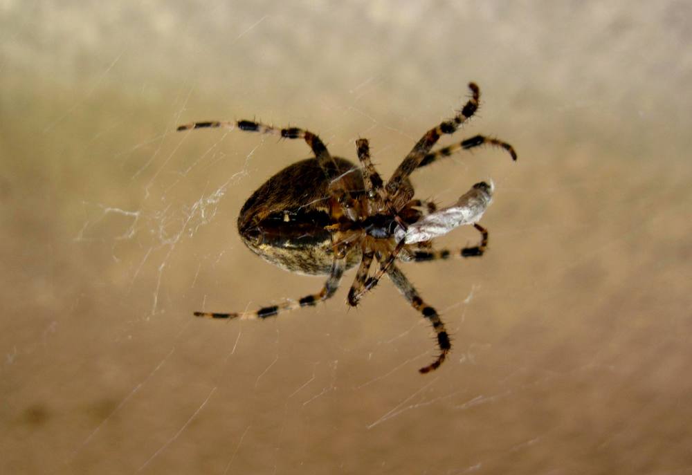 Photograph by Viktoriia Rusanova