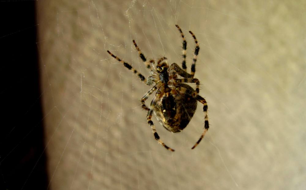 Photograph by Viktoriia Rusanova