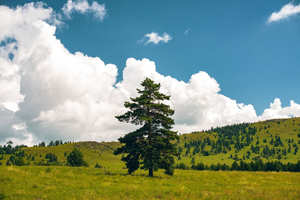 Photograph by Batjargal Lkhagvasuren