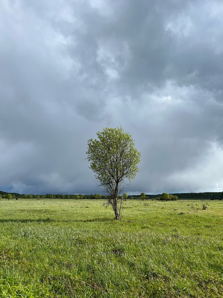 Photograph by Юлия Отставнова