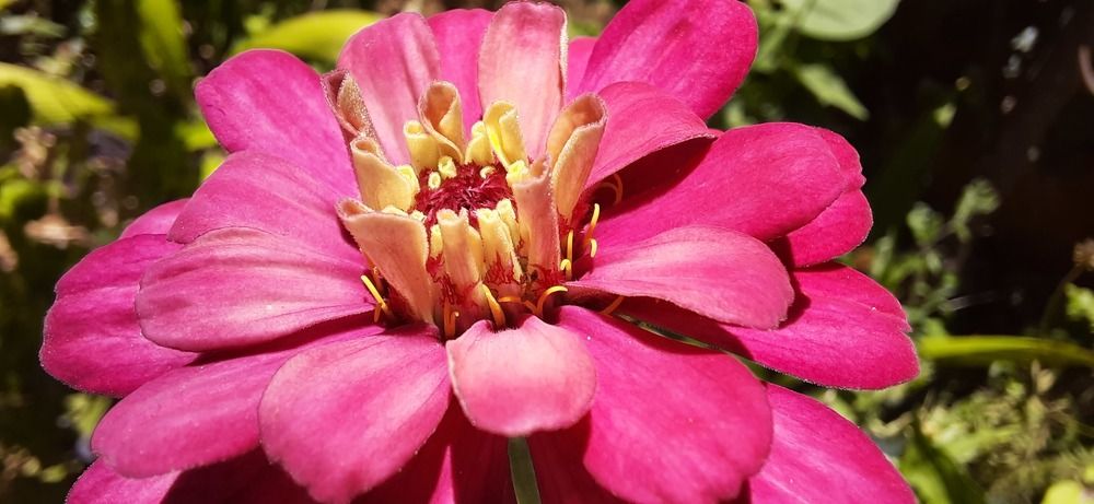 Фотография автора Jose Barbosa