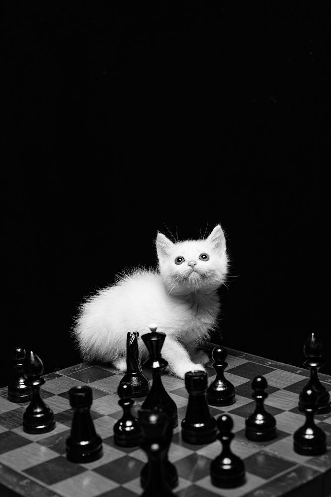 Photograph by Щебланов Виктор