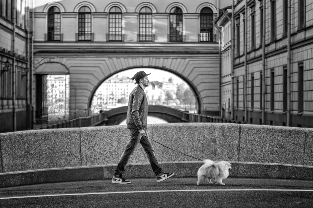 Photograph by Зубкова Юлия