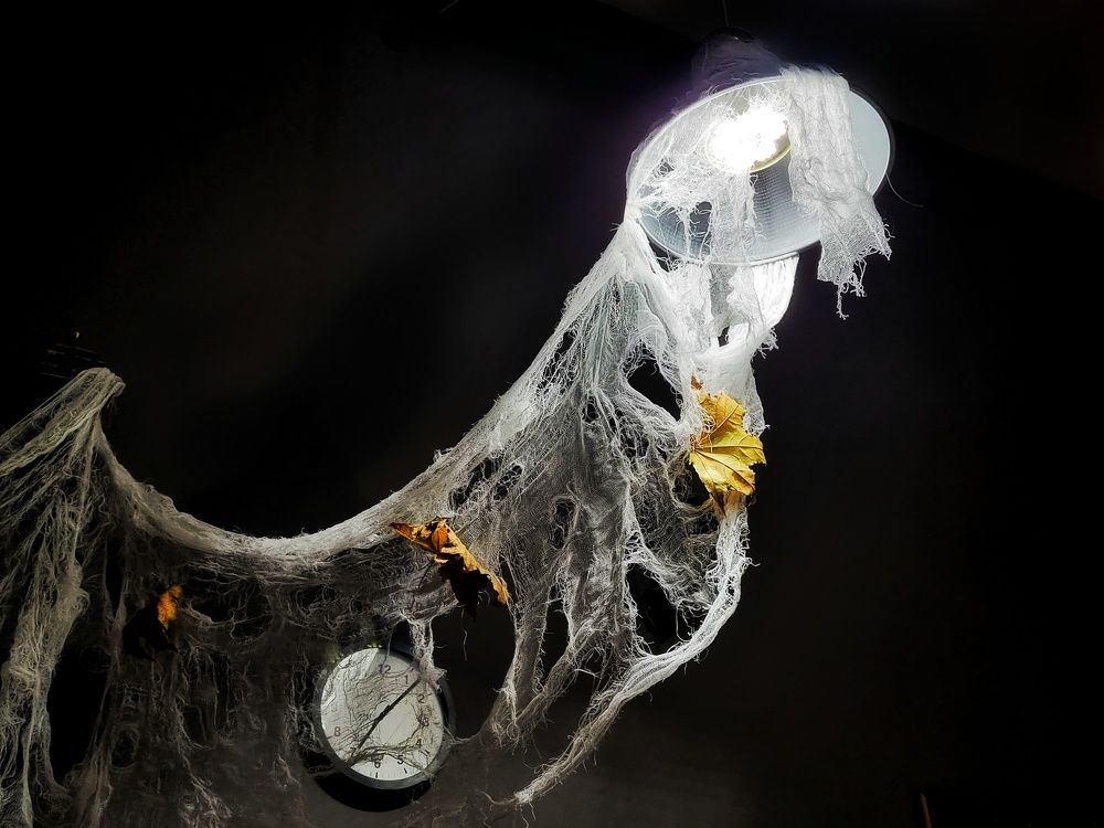 Photograph by Charm Mary