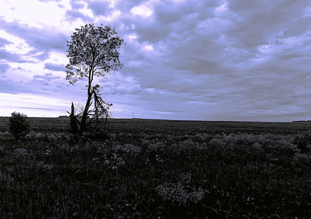 Photograph by Olga Kot