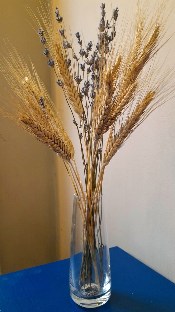 Photograph by Наталия Карни