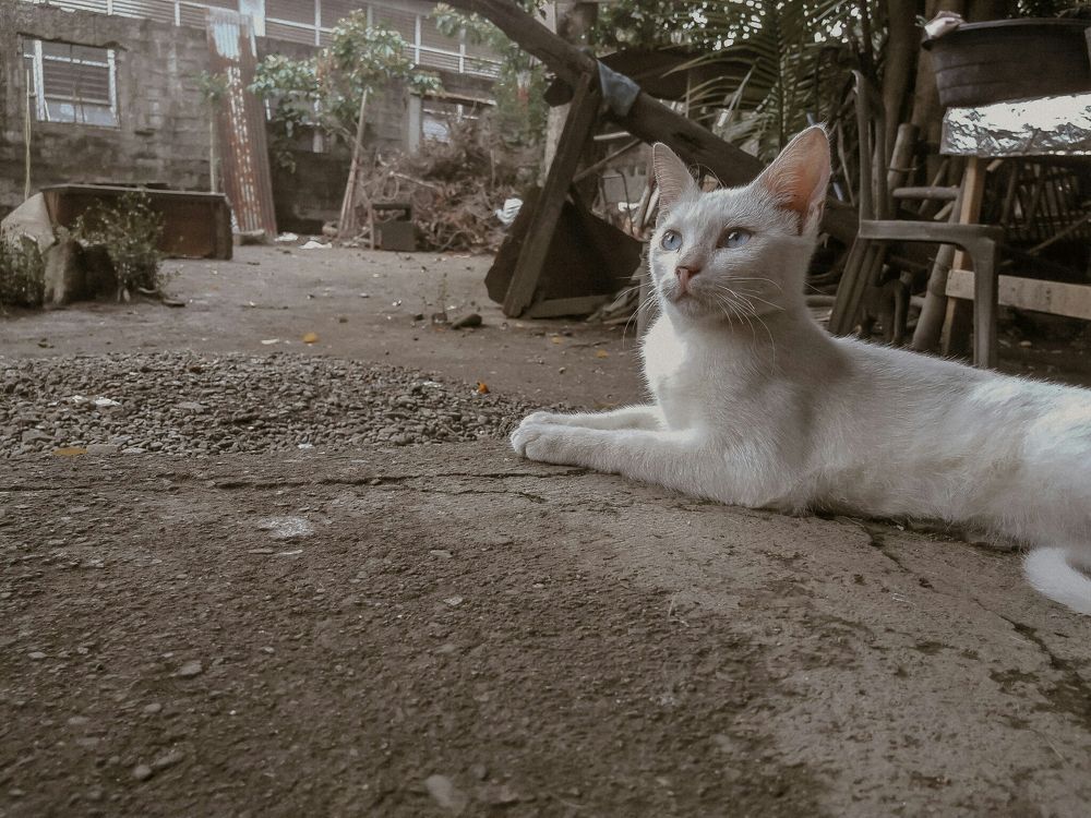 Photograph by Ma Leonor B Gonzales